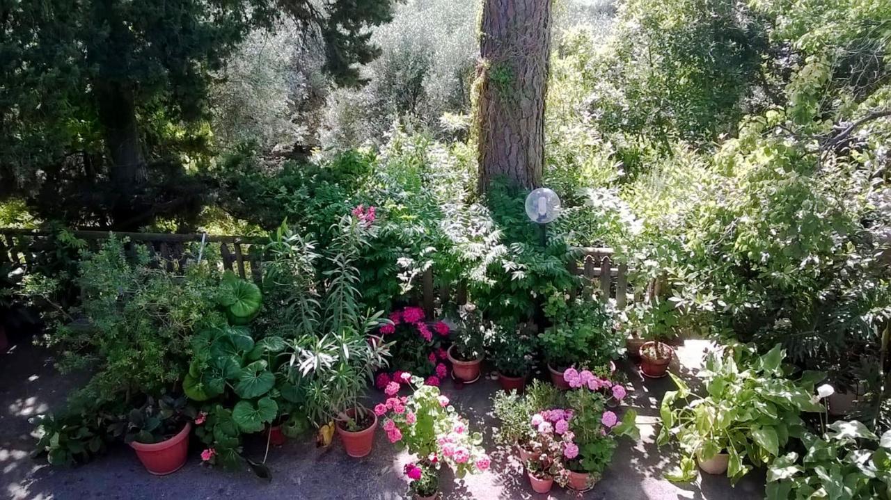 A Casa Di Carla Leilighet Terracina Eksteriør bilde